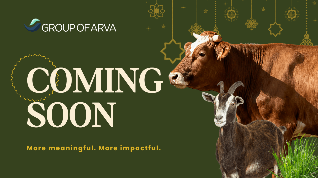 Qurban Group Of Arva