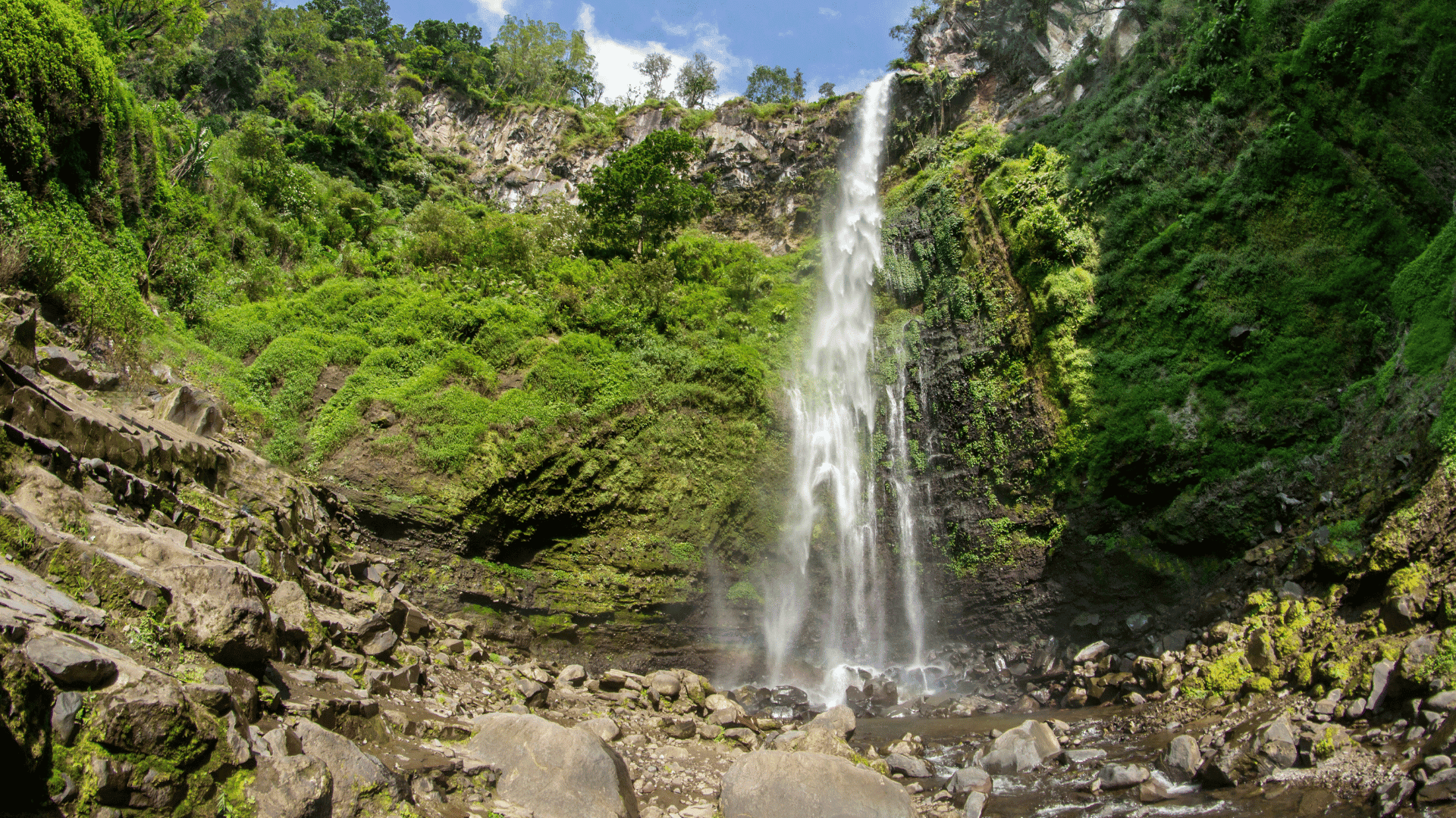 Malang Family Fun Tour 4D3N