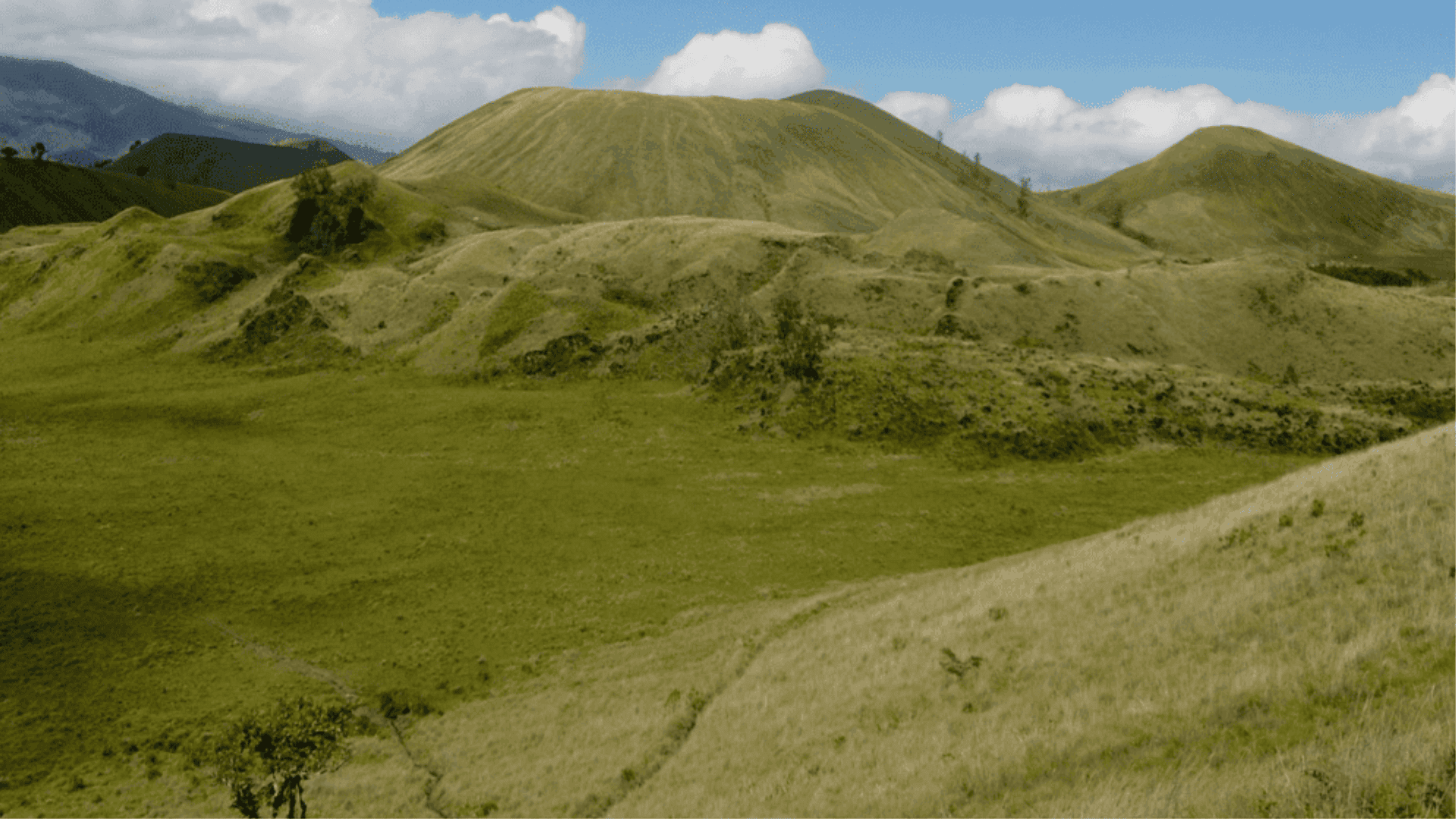 Family Getaway Hemat 3D2N Banyuwangi