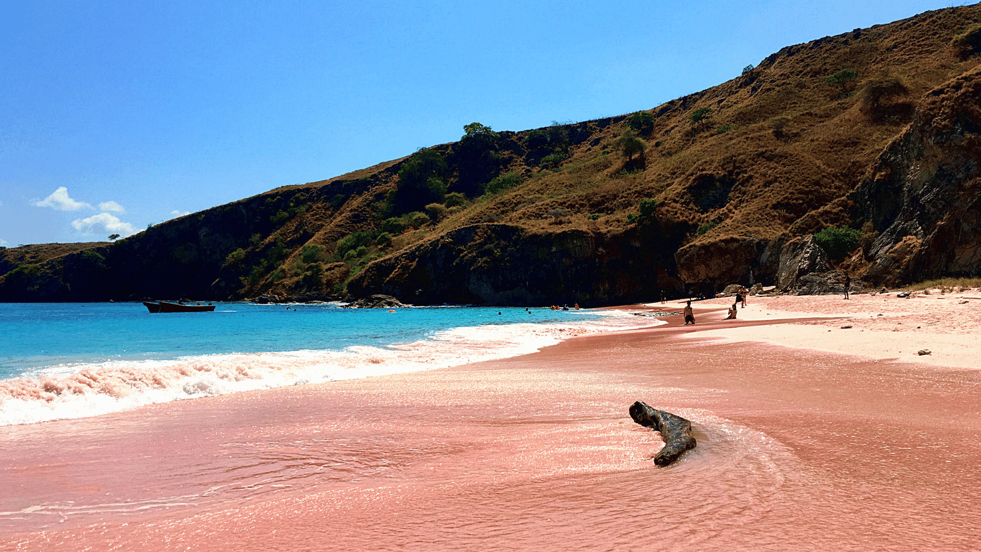 Labuan Bajo Explorer: 3D2N with Speedboat