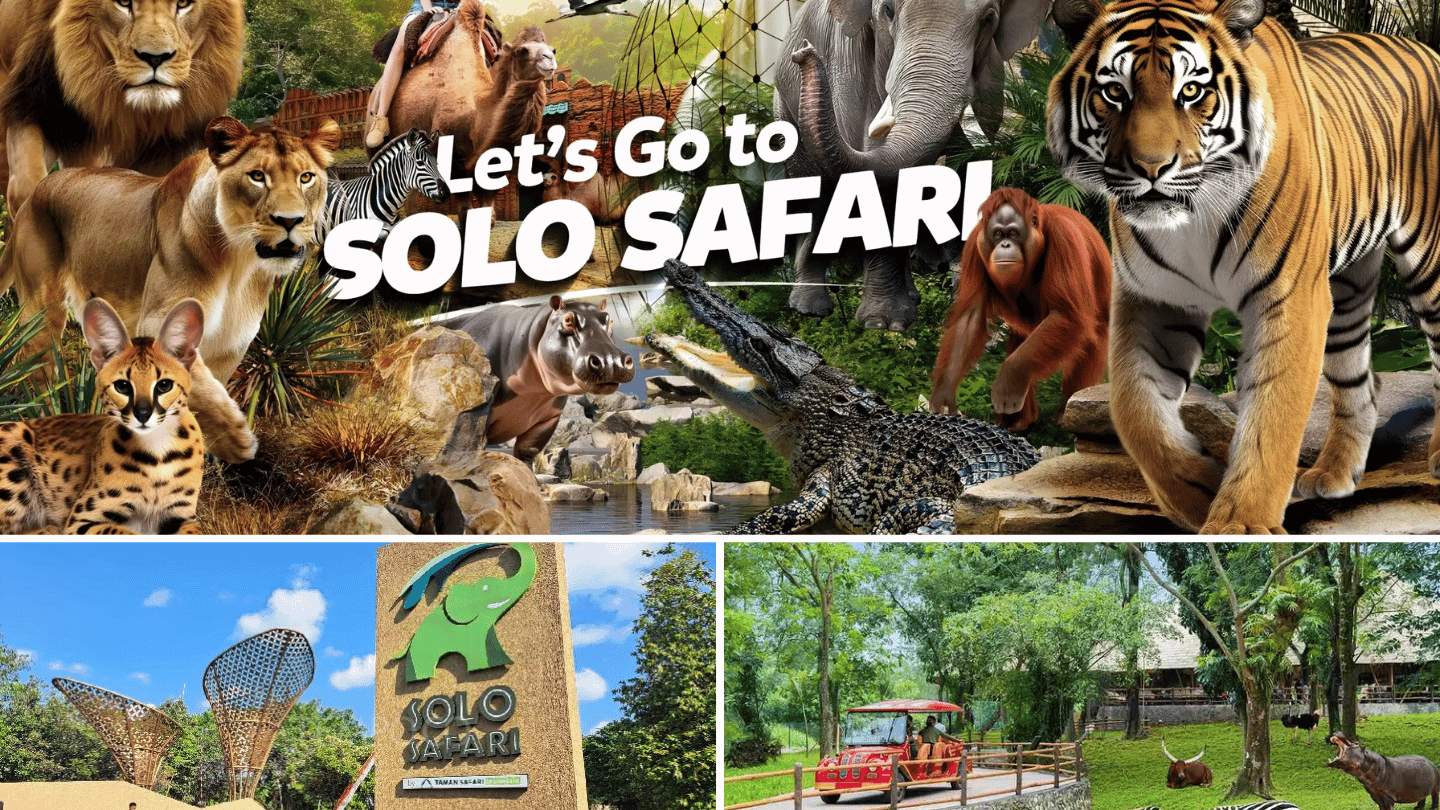 Solo Explore: Gathering & Tour 1 Day