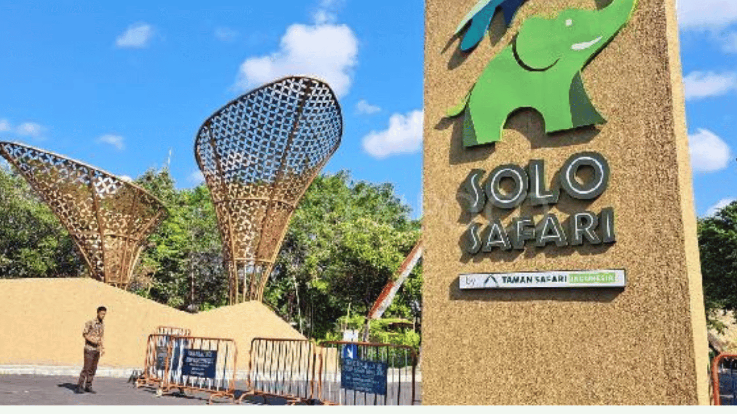Solo Explore: Gathering & Tour 1 Day